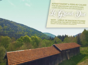 ⁂⁂ LE GRAND DUC Appartement [CLEDICIHOME] / Magnifique vue sur les montagnes / 4 KMs DE GERARDMER ! ⁂⁂